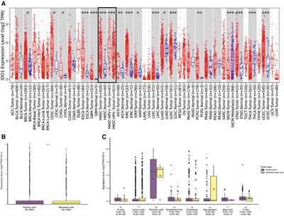 IDO1 correlates with the immune landscape of head and neck squamous cell carcinoma: a study based on bioinformatics analyses
